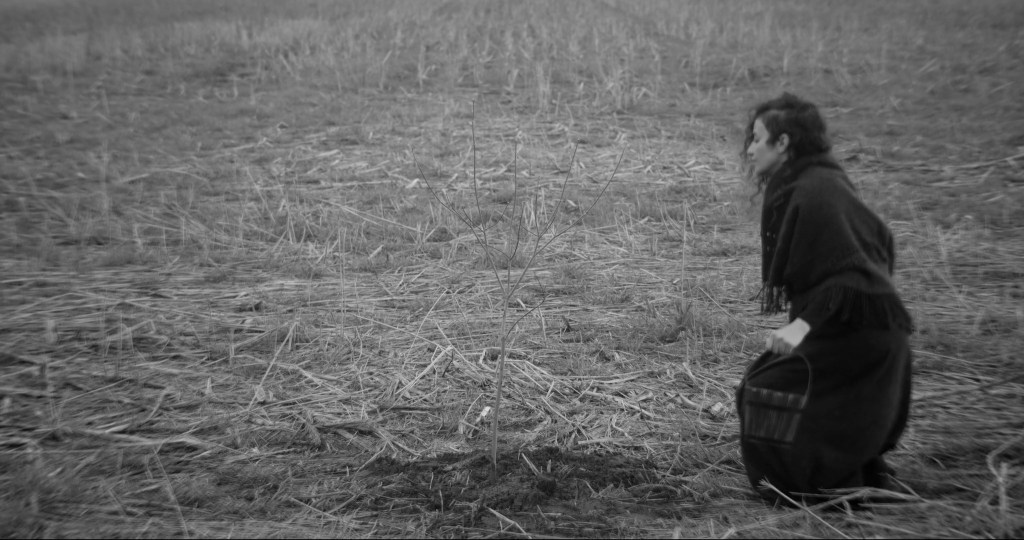 The woman kneels in a dry, cut field with her bucket. From A Drop at a Time (2025), directed by Mazyar Mahan.