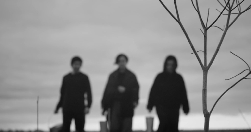 Three figures carrying buckets walk toward a young, bare sapling. From A Drop at a Time (2025), directed by Mazyar Mahan.