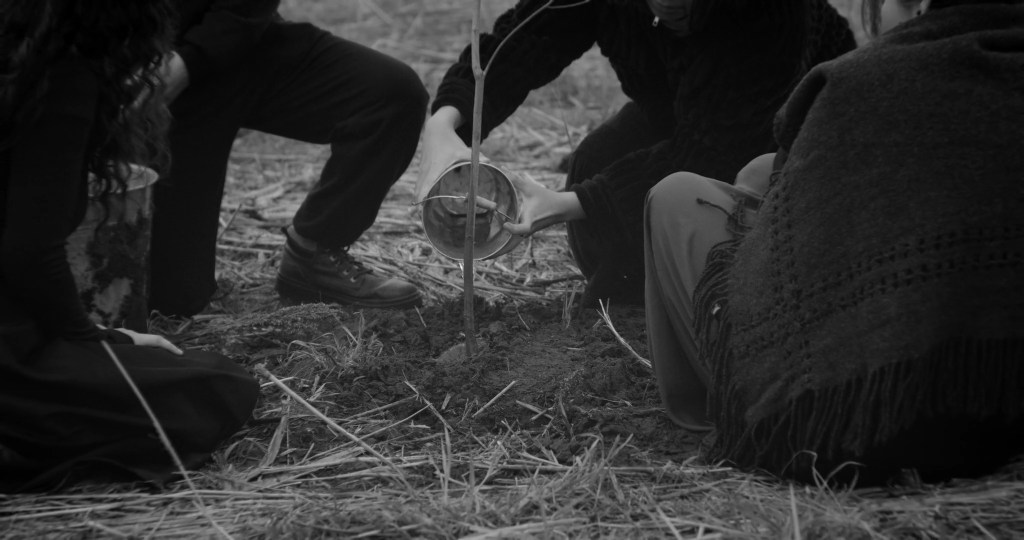 Several people kneel together around the sapling, pouring water at its base. From A Drop at a Time (2025), directed by Mazyar Mahan.