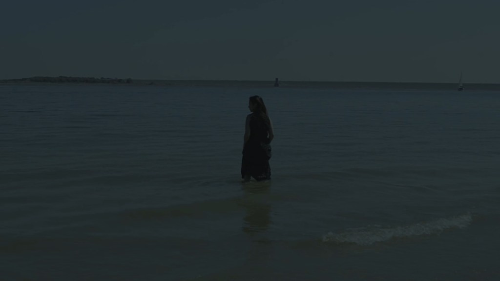 Still from Exile Echoes (2024) by Mazyar Mahan: a woman stands alone in the sea at dusk