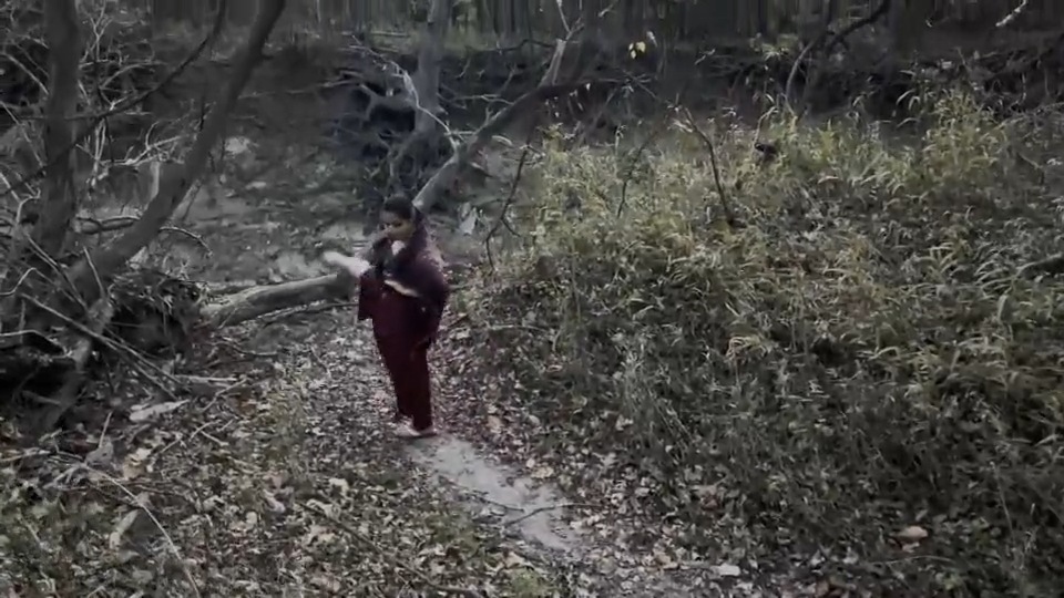 Still from Fear (2021) by Mazyar Mahan: a distant figure glimpsed through bare branches and undergrowth.
