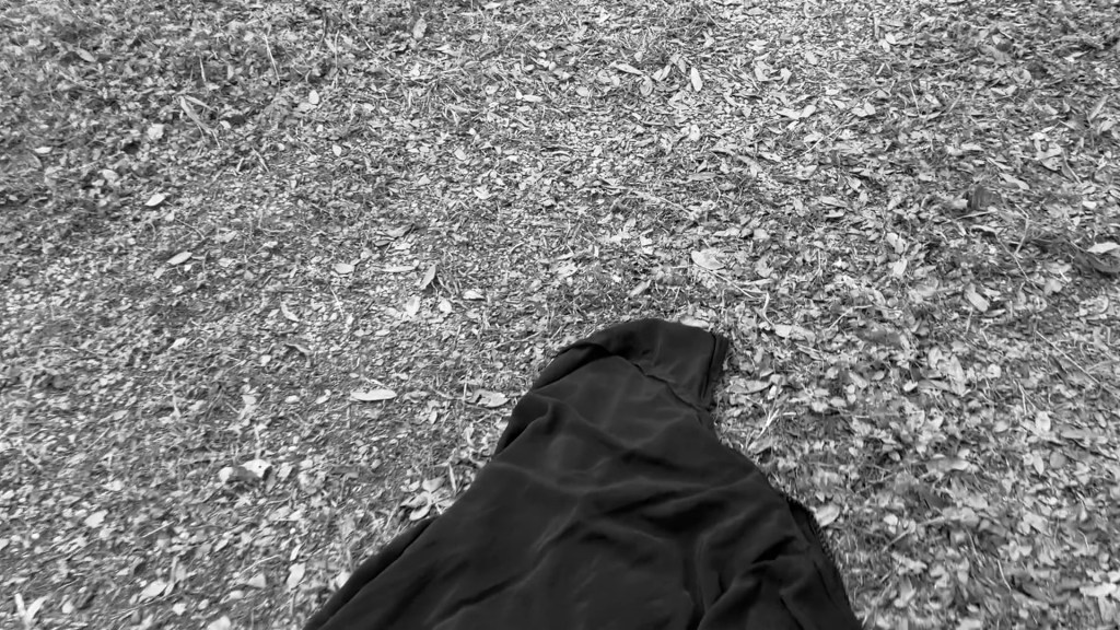 Still from Return of the Repressed (2023) by Mazyar Mahan: a black chador lying in fallen leaves.